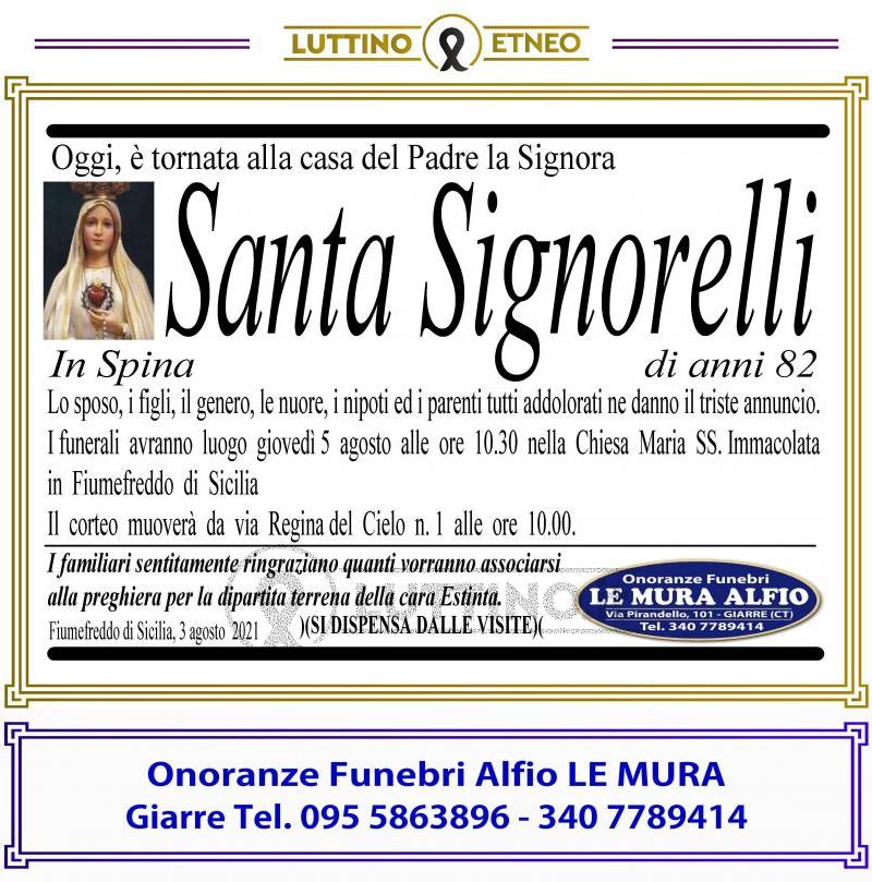 Santa  Signorelli